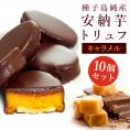 【ポイント10倍】安納芋トリュフ「キャラメル」チョコレート10個入  父の日  ラッピング  ギフト 内祝 結婚 誕生日 プレゼント スイーツ  出産