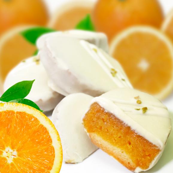 【限定販売】安納芋トリュフ「オレンジ」チョコレート５個入 お中元  ラッピング  ギフト 内祝 結婚 誕生日 プレゼント スイーツ  出産04