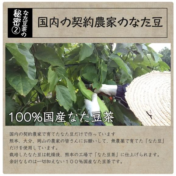 なたまめ茶 国産 ティーバッグ 30包 無農薬 なた豆 豆茶 健康茶 送料無料05