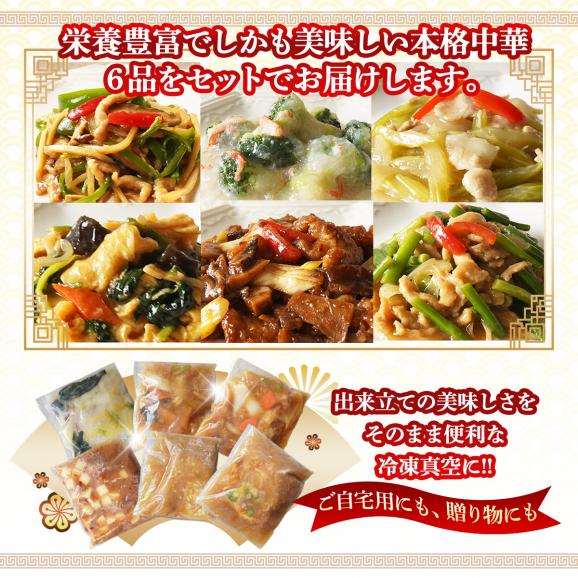 健康を考えた 緑黄野菜中華6品セット【送料無料】【内祝い】【御祝】【快気祝い】【ギフト】【お見舞い】※沖縄1000円、北海道600円・離島地域により送料別途必要04