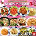 春の激ウマ中華福袋 送料無料 ギフト 中華 食べ物 プレゼント 実用的 惣菜 調理済み 冷凍食品 お取り寄せグルメ ※北海道は600円、沖縄は1000円別途必要