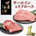 博多和牛サーロイン＆リブロースセット（計１キロ）