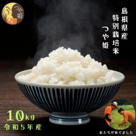 【ふるさと納税】《精米》感動米 特別栽培米つや姫 10kg 