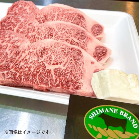 特選サーロインステーキ 200g×2 しまね和牛 島根県松江市/有限会社神戸屋[ALGF002]03