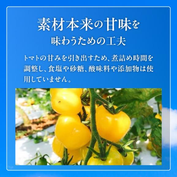 希少なチェリートマトを贅沢に使用！黄色いプレミアムトマトジュースセット 180ml×5本 島根県松江市/株式会社ちいきおこし[ALBK006]03