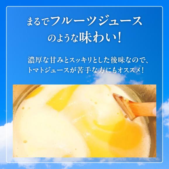 希少なチェリートマトを贅沢に使用！黄色いプレミアムトマトジュースセット 180ml×5本 島根県松江市/株式会社ちいきおこし[ALBK006]04