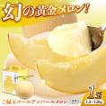 ご縁玉ゴールデンパールメロン 1.3～1.8kg×1玉 島根県松江市/株式会社ちいきおこし