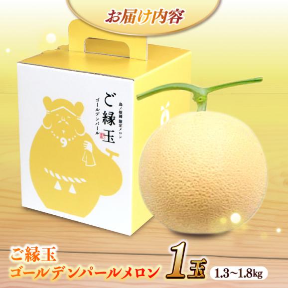 ご縁玉ゴールデンパールメロン 1.3～1.8kg×1玉 島根県松江市/株式会社ちいきおこし03
