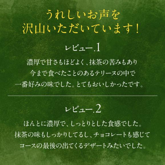 ねっとり食感！お茶屋が本気で作った 濃厚抹茶のテリーヌ 280ｇ×1本 島根県松江市/有限会社お茶の三幸園[ALAI001]05