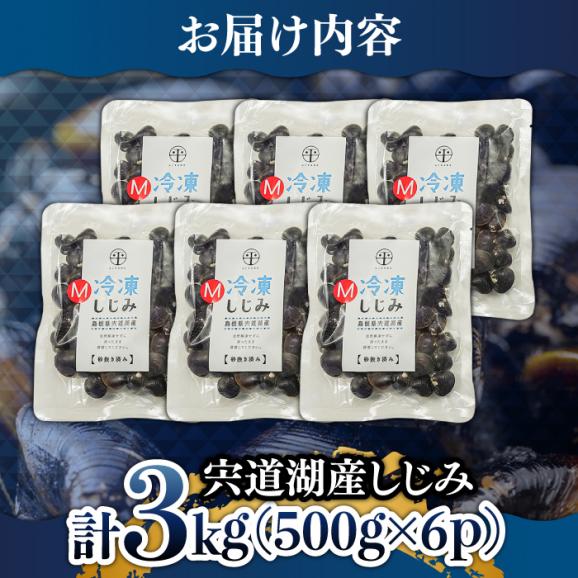 食べる分だけさっと使える！宍道湖産 冷凍大和しじみ (M)500g×6袋 島根県松江市/平野缶詰有限会社[ALBZ002]03