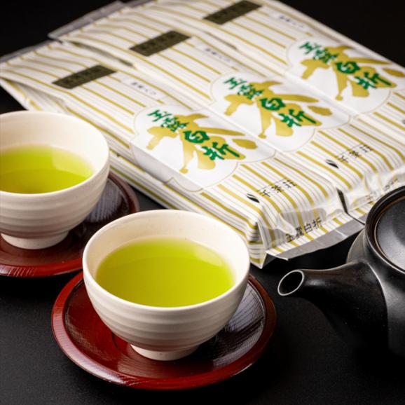 抹茶入り煎茶玉露白折150g×3本セット(ご自宅用) 島根県松江市/株式会社千茶荘[ALBF003]02