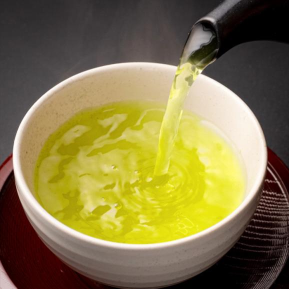抹茶入り煎茶玉露白折150g×3本セット(ご自宅用) 島根県松江市/株式会社千茶荘[ALBF003]05