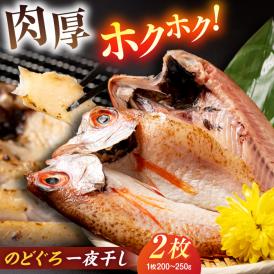 ホクホク！肉厚！恵曇開きノドグロ一夜干しセット（200ｇ～250ｇ）×2尾 島根県松江市/有限会社丸三商店[ALCP001]