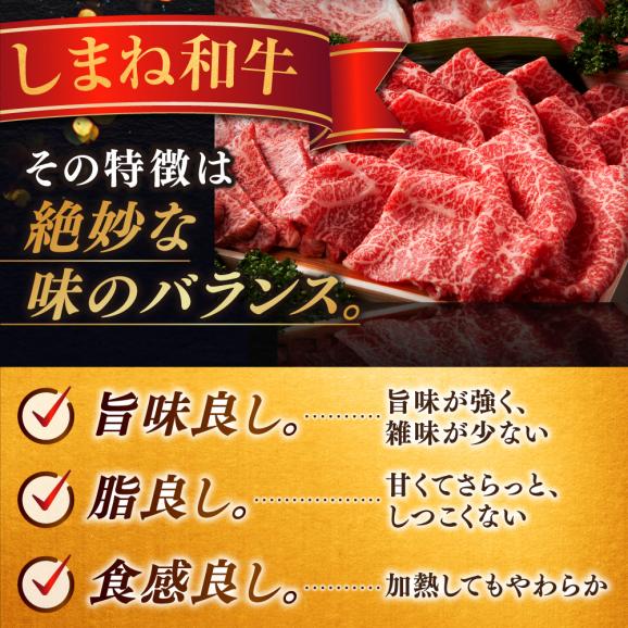 【訳あり】サイコロステーキ お子様に大好評！しまね和牛(サーロイン･肩ロース・リブロース)ひとくちカット 600g(200g×3パック) 島根県松江市/有限会社宮本食肉店[ALCV003]05
