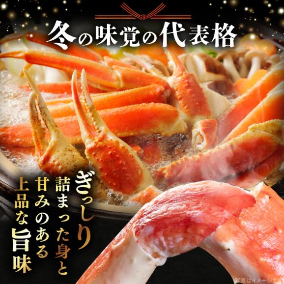 【期間限定・先行予約】冬の味覚の代表格！松葉ガニ 1枚 島根県松江市/フジキコーポレーション株式会社[ALDS017]02
