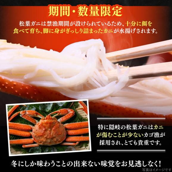 【期間限定・先行予約】冬の味覚の代表格！松葉ガニ 1枚 島根県松江市/フジキコーポレーション株式会社[ALDS017]04