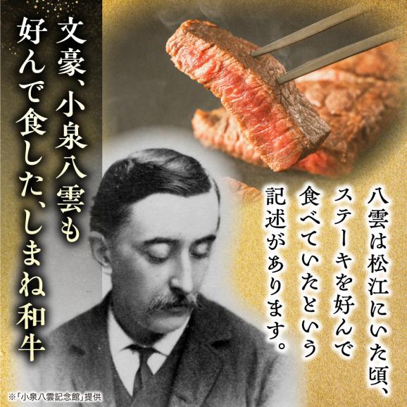 最高級品質の和牛肉！しまね和牛サーロインステーキ 200g×2枚 島根県松江市/有限会社宮本食肉店[ALCV002]02