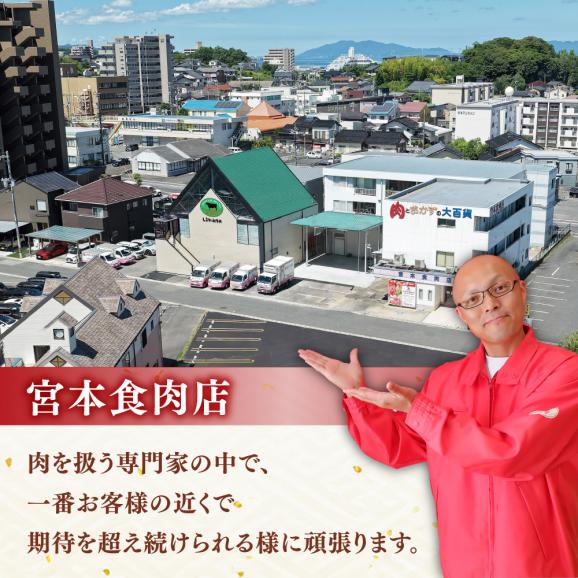 最高級品質の和牛肉！しまね和牛サーロインステーキ 200g×2枚 島根県松江市/有限会社宮本食肉店[ALCV002]06