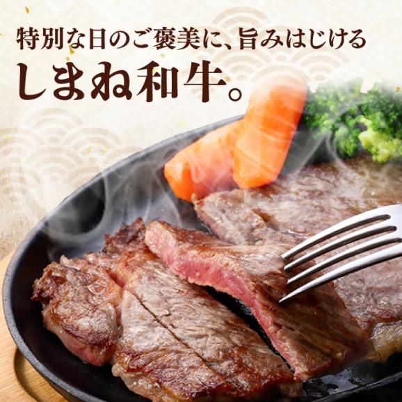 最高級品質の和牛肉！しまね和牛サーロインステーキ 200g×2枚 島根県松江市/有限会社宮本食肉店[ALCV002]06