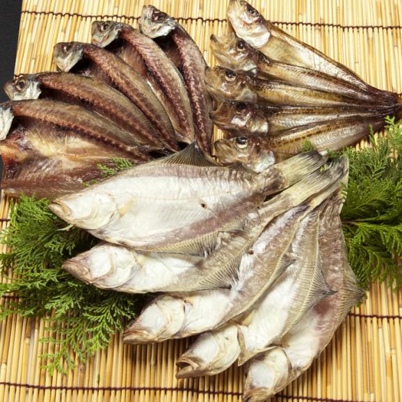 一度食べたらやみつき！恵曇一夜干しセット3種×5尾 島根県松江市/有限会社丸三商店[ALCP002]02
