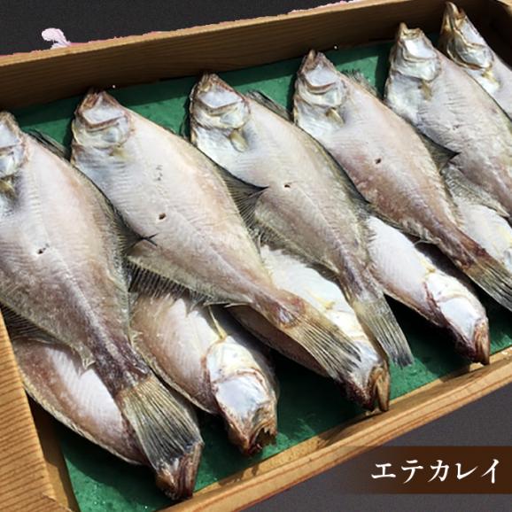 一度食べたらやみつき！恵曇一夜干しセット3種×5尾 島根県松江市/有限会社丸三商店[ALCP002]03