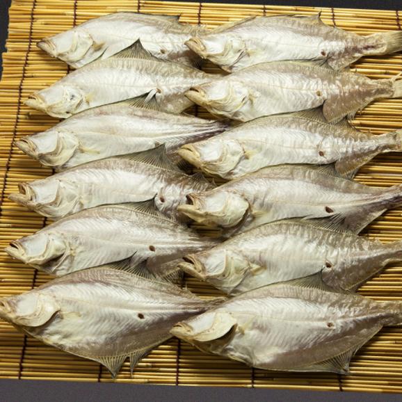 ほかほかのご飯にぴったり！恵曇エテカレイ一夜干しセット×12尾 島根県松江市/有限会社丸三商店[ALCP003]02