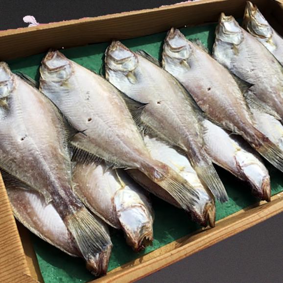 ほかほかのご飯にぴったり！恵曇エテカレイ一夜干しセット×12尾 島根県松江市/有限会社丸三商店[ALCP003]03