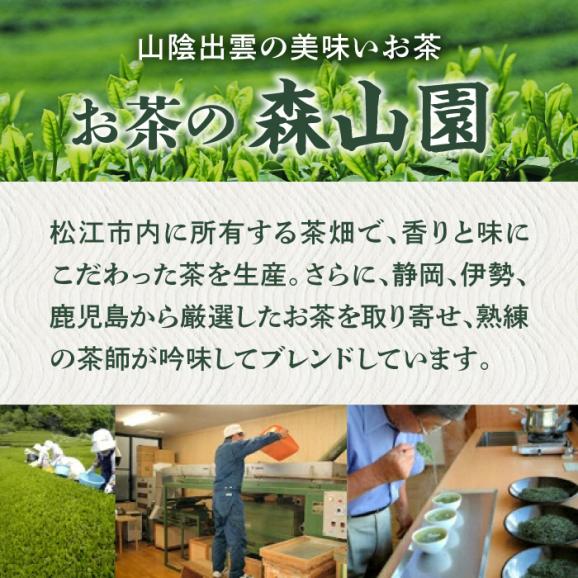 【日本三大菓子・茶処】まつえ茶と和菓子B セット 島根県松江市/有限会社森山園[ALCY003]05