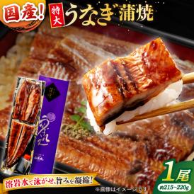 うなぎ老舗専門店のパリっとふっくら国産うなぎ 蒲焼1尾(蒲焼のタレ付き) 島根県松江市/株式会社山美世商会[ALDC003]