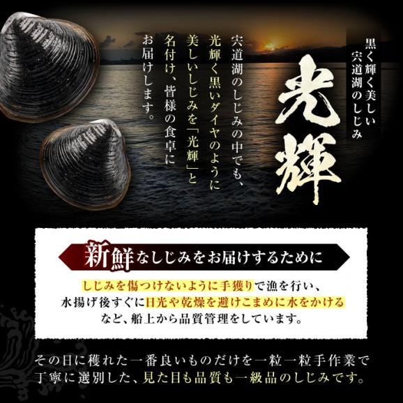 産地直送！宍道湖産 冷凍大和しじみMサイズ2kg(500g×4) 砂抜き処理済 島根県松江市/りすたむmatsue[ALDE001]03