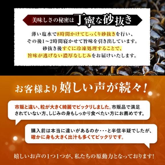 産地直送！宍道湖産 冷凍大和しじみMサイズ2kg(500g×4) 砂抜き処理済 島根県松江市/りすたむmatsue[ALDE001]04