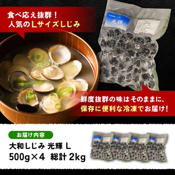 産地直送！ 宍道湖産 冷凍大和しじみLサイズ2kg(500g×4) 砂抜き処理済 島根県松江市/りすたむmatsue[ALDE002]02