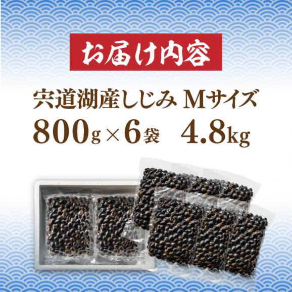 宍道湖産 冷凍大和しじみ 砂抜き済 Mサイズ800g×6袋(4.8kg) 島根県松江市/しじみ市場株式会社[ALDK001]04