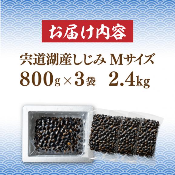 宍道湖産 冷凍大和しじみ 砂抜き済 Mサイズ800g×3袋(2.4kg) 島根県松江市/しじみ市場株式会社[ALDK002]04