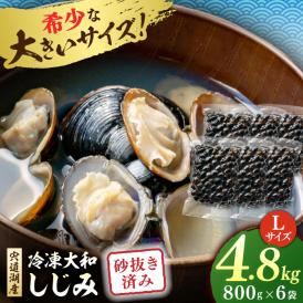 宍道湖産 冷凍大和しじみ 砂抜き済 Lサイズ800g×6袋(4.8kg) 島根県松江市/しじみ市場株式会社[ALDK003]