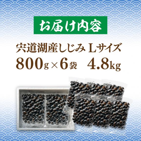 宍道湖産 冷凍大和しじみ 砂抜き済 Lサイズ800g×6袋(4.8kg) 島根県松江市/しじみ市場株式会社[ALDK003]04
