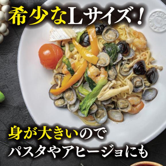宍道湖産 冷凍大和しじみ 砂抜き済 Lサイズ800g×4袋(3.2kg) 島根県松江市/しじみ市場株式会社[ALDK004]02