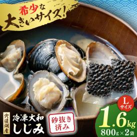 宍道湖産 冷凍大和しじみ 砂抜き済 Lサイズ800×2袋(1.6kg) 島根県松江市/しじみ市場株式会社[ALDK005]