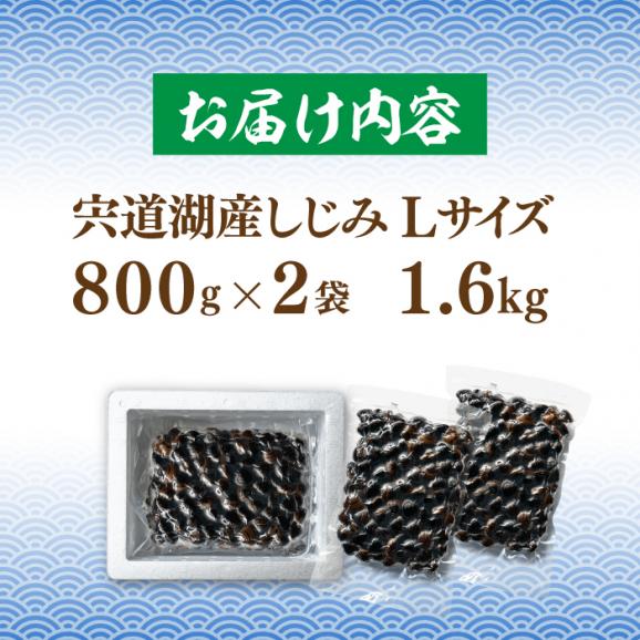 宍道湖産 冷凍大和しじみ 砂抜き済 Lサイズ800×2袋(1.6kg) 島根県松江市/しじみ市場株式会社[ALDK005]04