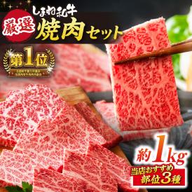 極上厳選！受賞歴多数 しまね和牛 焼肉セット 部位3種(1kg) 島根県松江市/株式会社O.R.C[ALEF003]