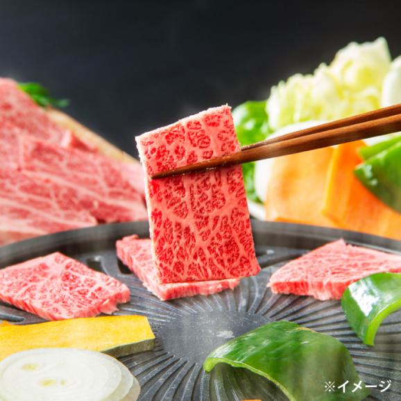 極上厳選！受賞歴多数 しまね和牛 焼肉セット 部位3種(1kg) 島根県松江市/株式会社O.R.C[ALEF003]03