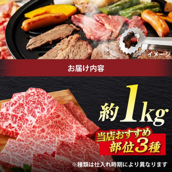 極上厳選！受賞歴多数 しまね和牛 焼肉セット 部位3種(1kg) 島根県松江市/株式会社O.R.C[ALEF003]04