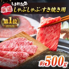 極上厳選！受賞歴多数 しまね和牛 しゃぶしゃぶ/すき焼き用(500g) 島根県松江市/株式会社O.R.C[ALEF004]