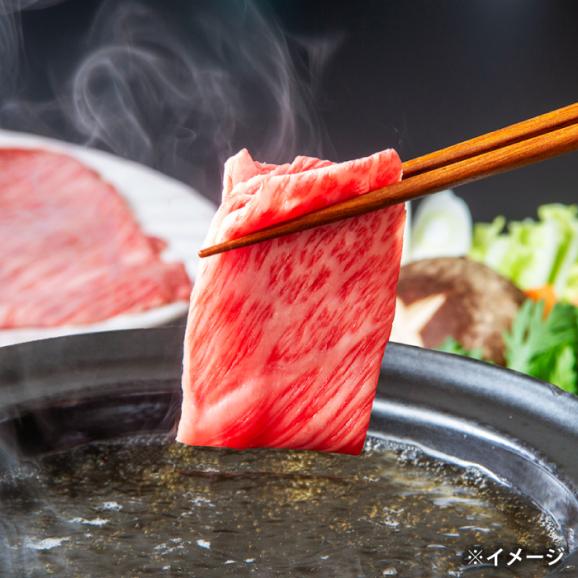 極上厳選！受賞歴多数 しまね和牛 しゃぶしゃぶ/すき焼き用(500g) 島根県松江市/株式会社O.R.C[ALEF004]03