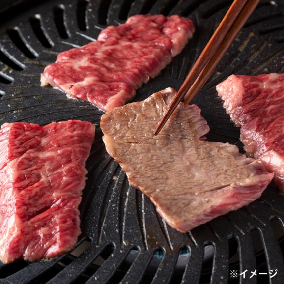 極上厳選！受賞歴多数 しまね和牛 ハラミ焼肉(600g) 島根県松江市/株式会社O.R.C[ALEF008]03