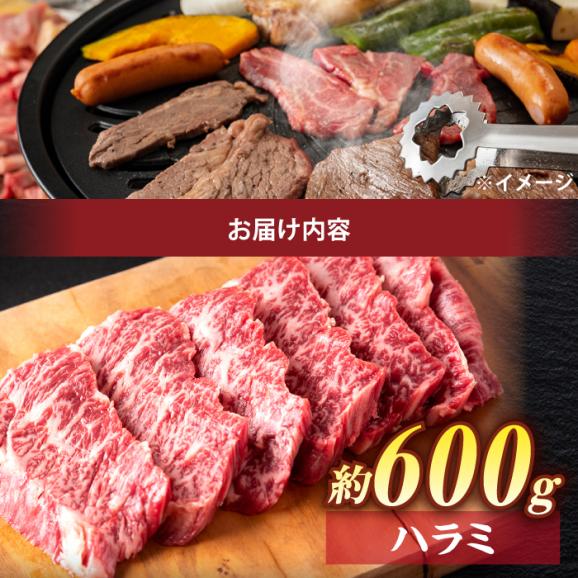極上厳選！受賞歴多数 しまね和牛 ハラミ焼肉(600g) 島根県松江市/株式会社O.R.C[ALEF008]04