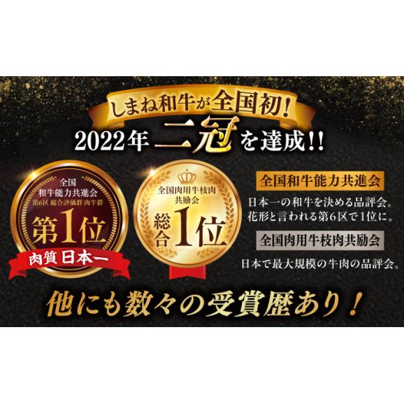 焼肉の常識を覆す！店主渾身の隠れ絶品 しまね和牛タンミックス(500g)　焼肉 牛タン 部位おまかせ ミックス 島根県松江市/株式会社O.R.C[ALEF009]05