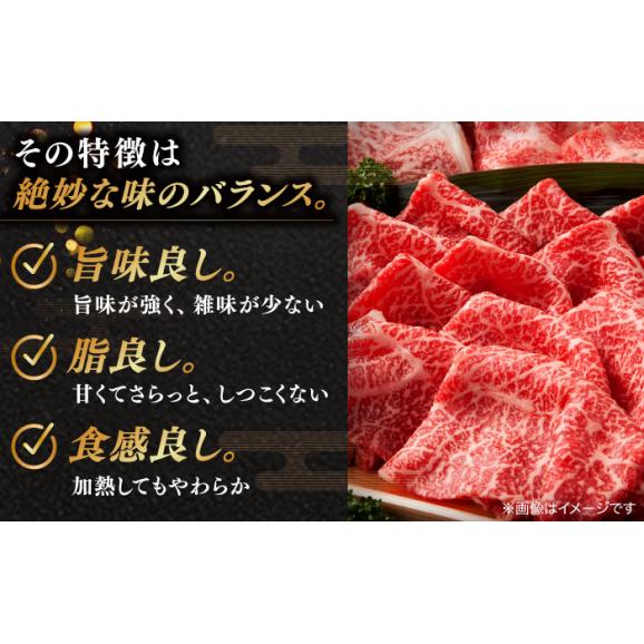 焼肉の常識を覆す！店主渾身の隠れ絶品 しまね和牛タンミックス(500g)　焼肉 牛タン 部位おまかせ ミックス 島根県松江市/株式会社O.R.C[ALEF009]06