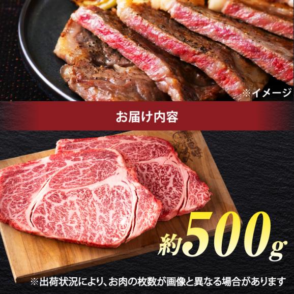 極上厳選！受賞歴多数 しまね和牛 ステーキ(500g) 島根県松江市/株式会社O.R.C[ALEF010]04
