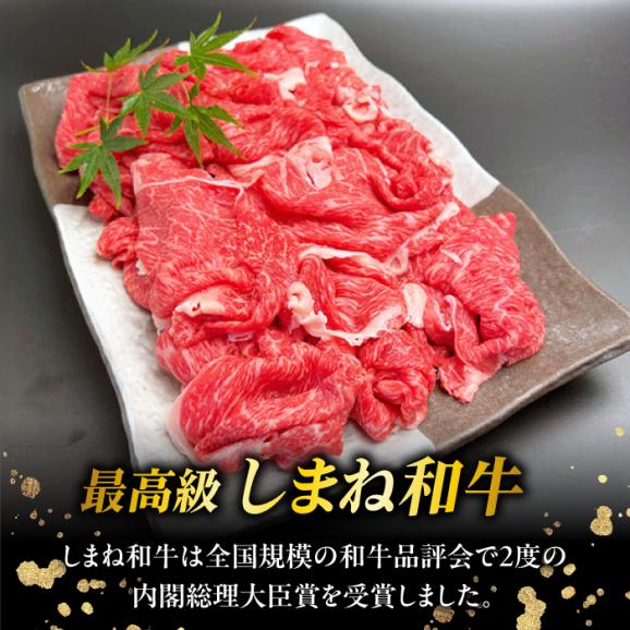 その旨味、最上級！「しまね和牛肉」 赤身切り落とし 900g(180g×5ﾊﾟｯｸ)【高級 焼肉勇花理(ゆうかり)】 島根県松江市/有限会社おき精肉店[ALFT004]05
